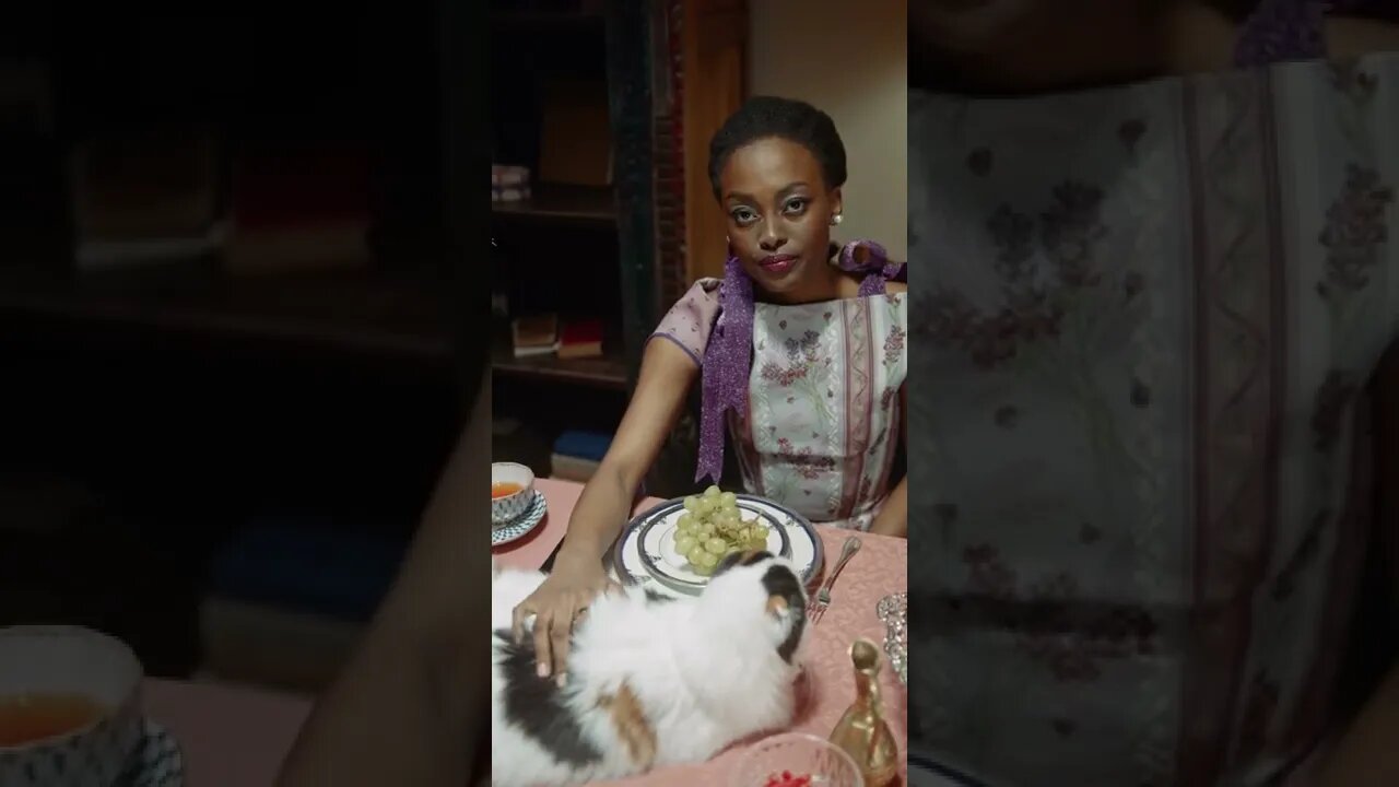 KUCING LUCU #PART 42