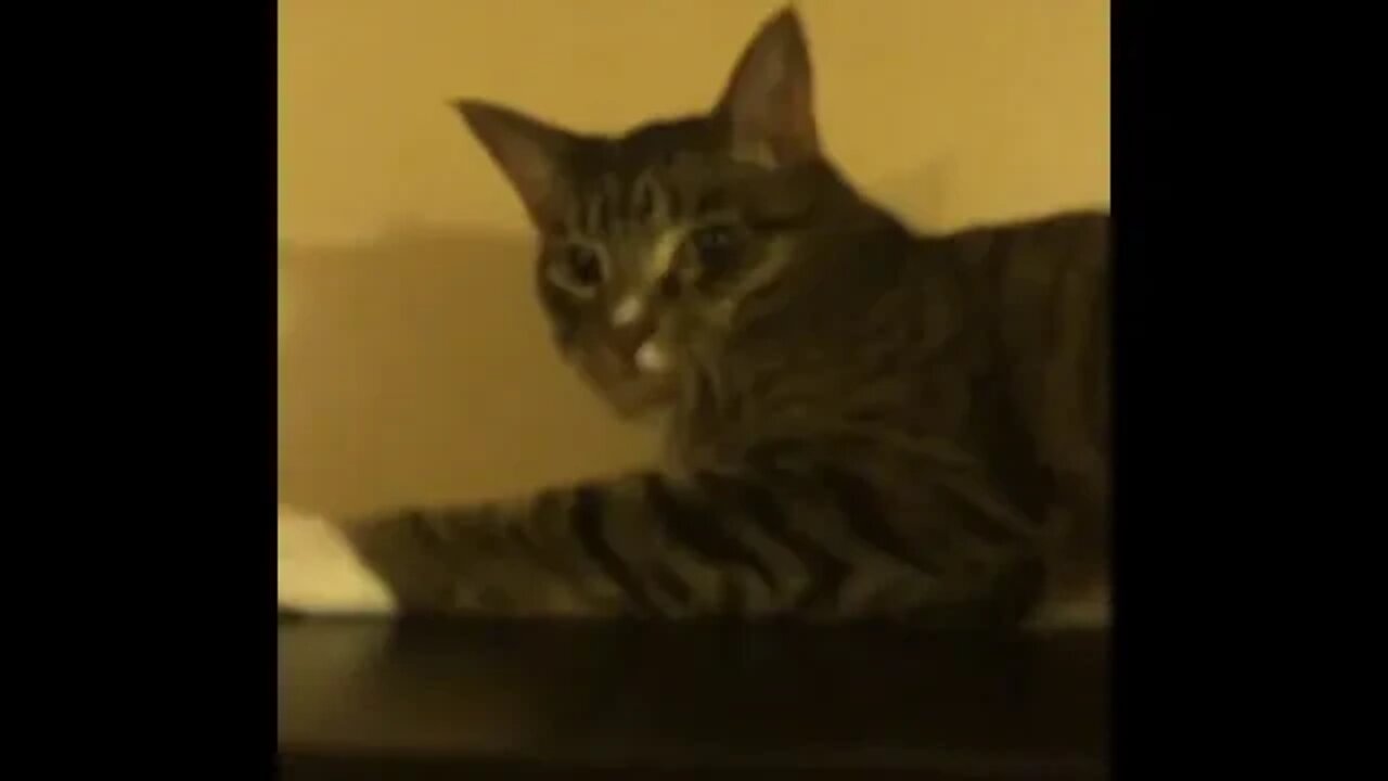 Peek a Boss, Boo!