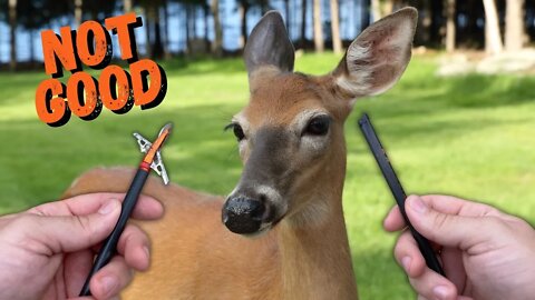 Opening Weekend of Deer Season 2022 was TOUGH!!!