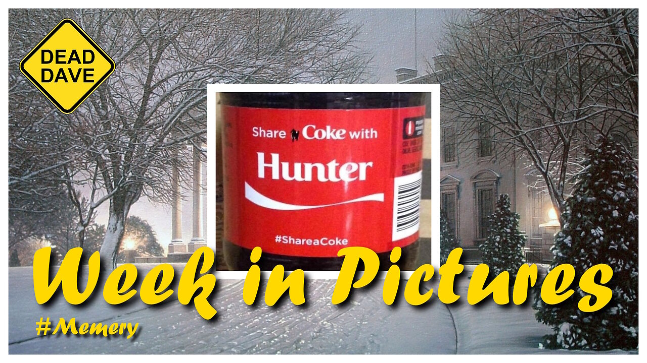 Pt2/4 Powerline's Week in Pictures: Cocaine Bear Edition #political