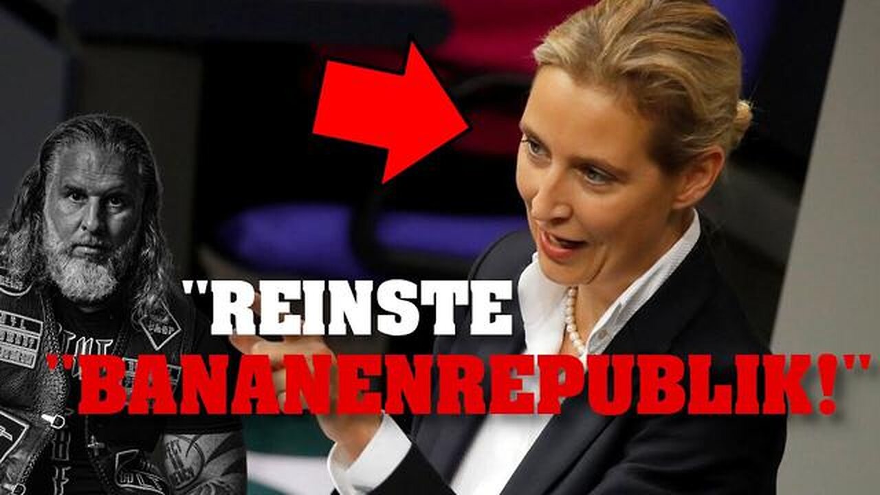 ALICE WEIDEL FILETIERT HILFLOSEN JOURNALISTEN! ᴴᴰ🔥