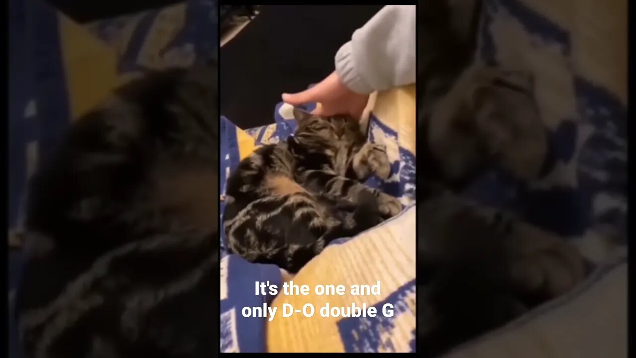 MEME is the one and only D-O double G #shorts