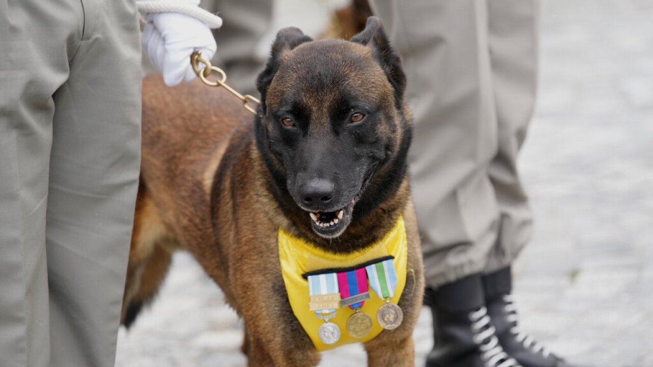 France Inaugurates Memorial To 'Hero Dogs'