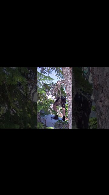 #VancouverIsland #Backcountry #Hiking