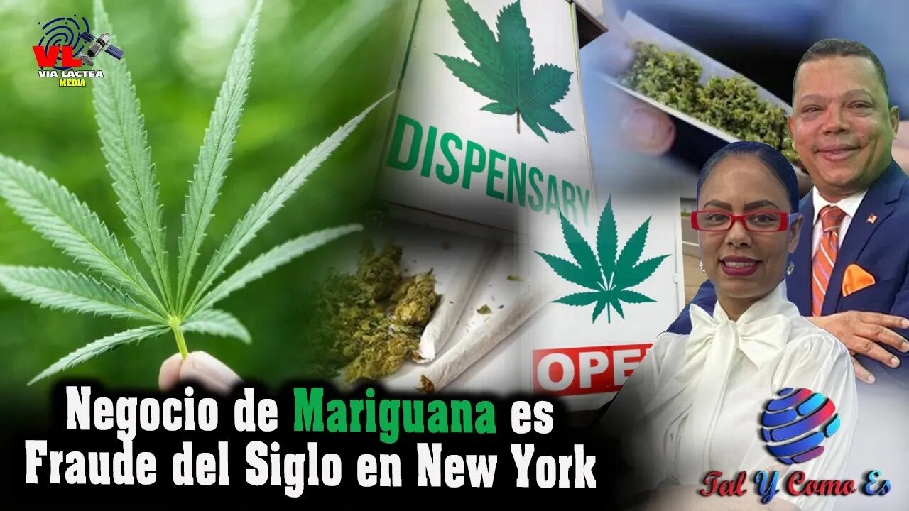 NEGOCIO DE MARIJUANA ES FRAUDE DEL SIGLO EN NEW YORK | TAL Y COMO ES