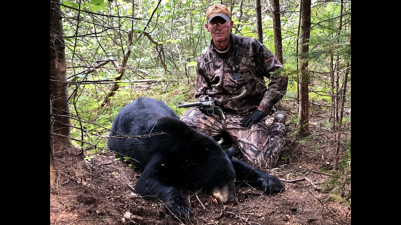 HANDGUN HUNTING - Maine Black Bear