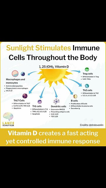 Processed foods are literally changing the way our brains are wired….