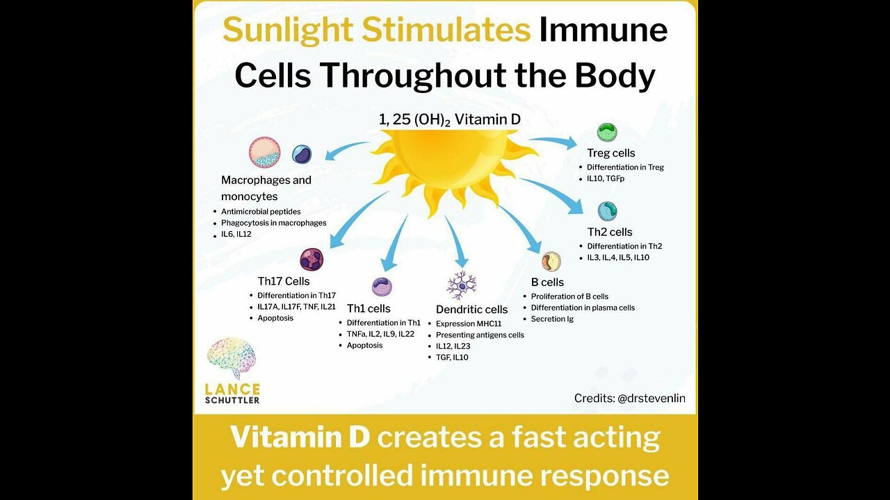 Processed foods are literally changing the way our brains are wired….