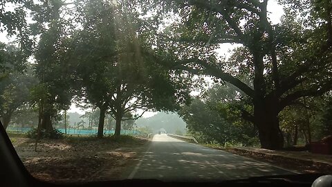 driving