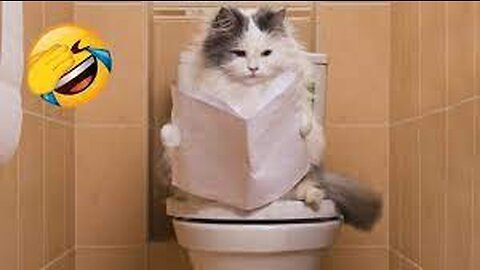 Cute animals Videos Compilation cute moment of the animals - Cutest Animals