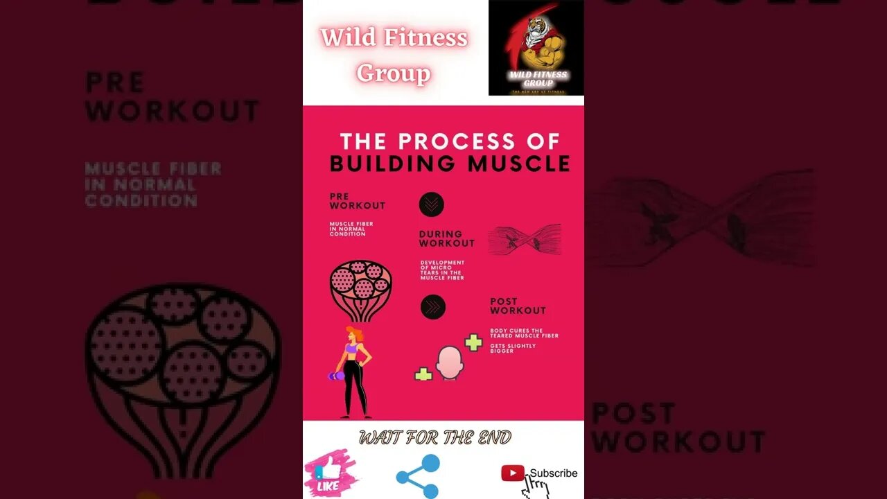 🔥Muscle building process🔥#shorts🔥#wildfitnessgroup🔥5 April 2022🔥