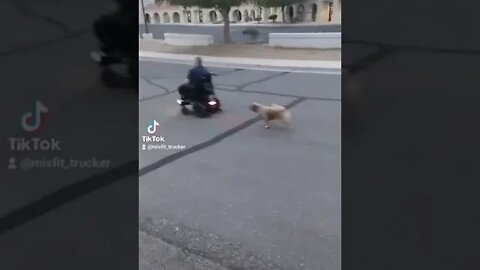 old man scooter Vroom