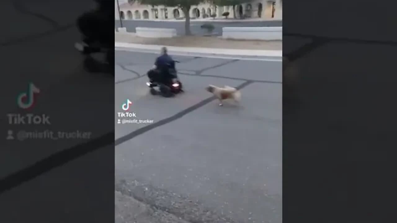old man scooter Vroom