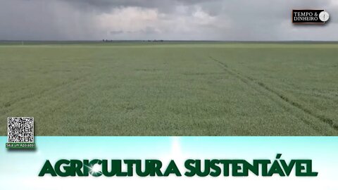 Agricultura Sustentável - com Frederico Olivi
