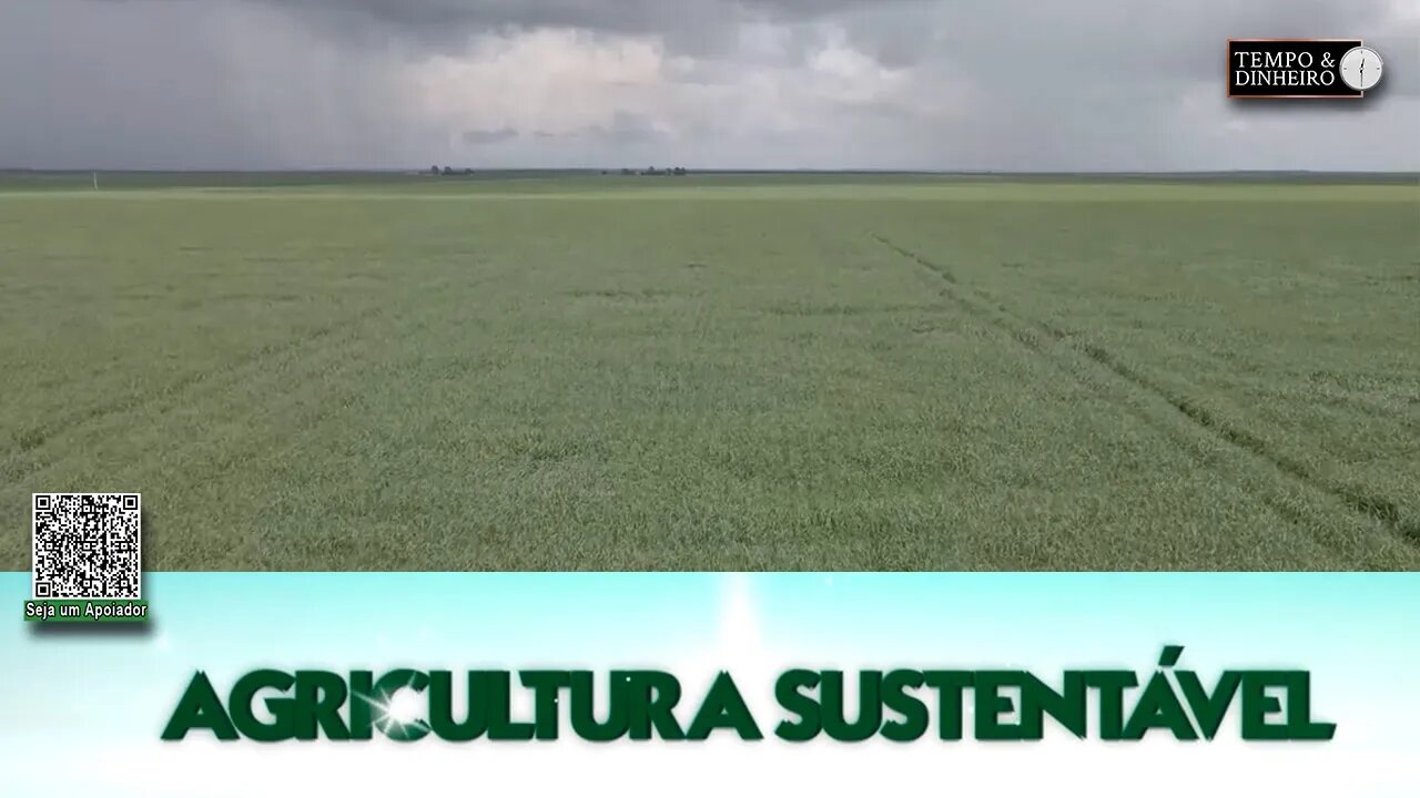 Agricultura Sustentável - com Frederico Olivi