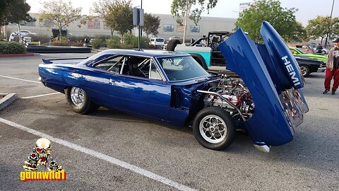 Bird Flew custom Plymouth Road Runner