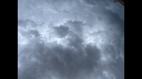 🎼🦅🦅🦅🪞🦅🦅🦅🎼