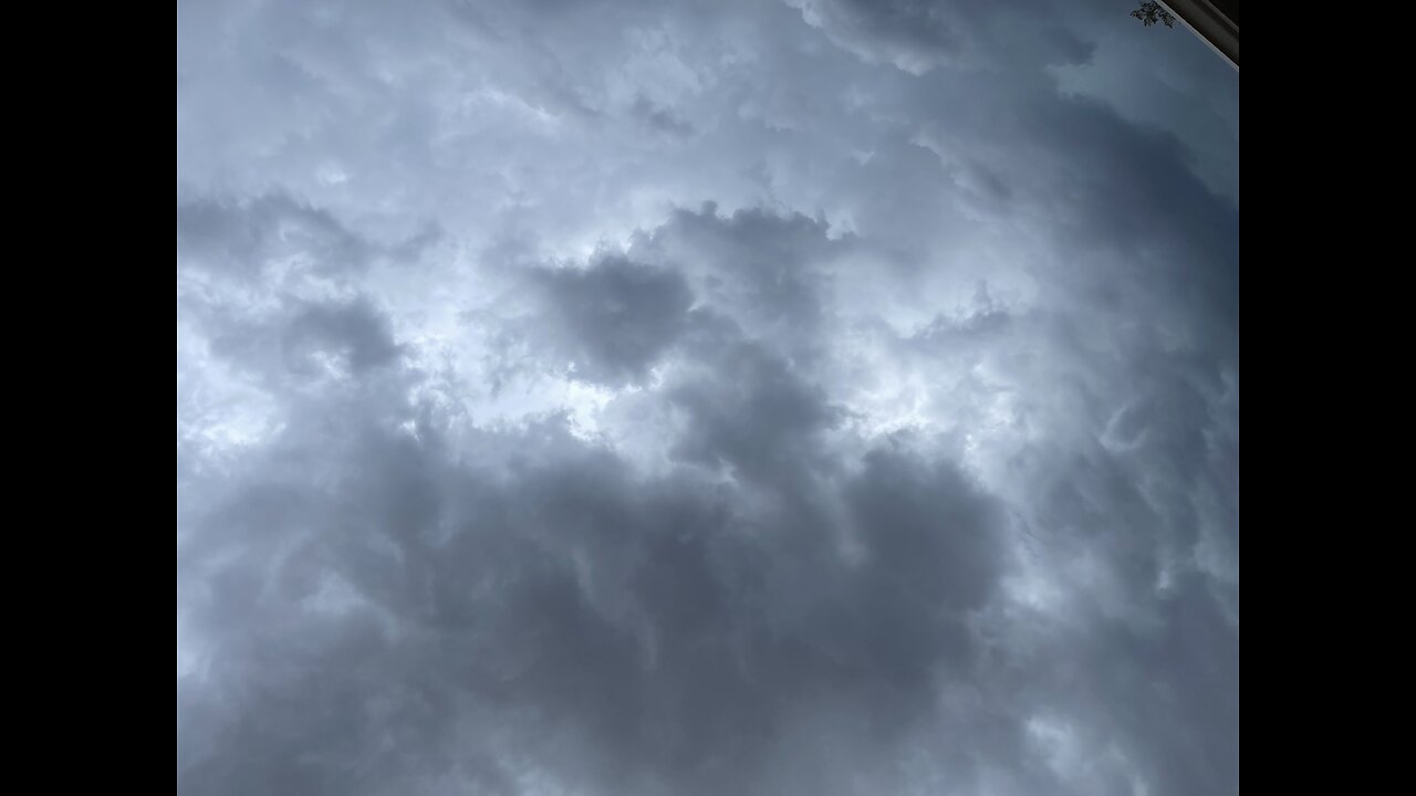 🎼🦅🦅🦅🪞🦅🦅🦅🎼