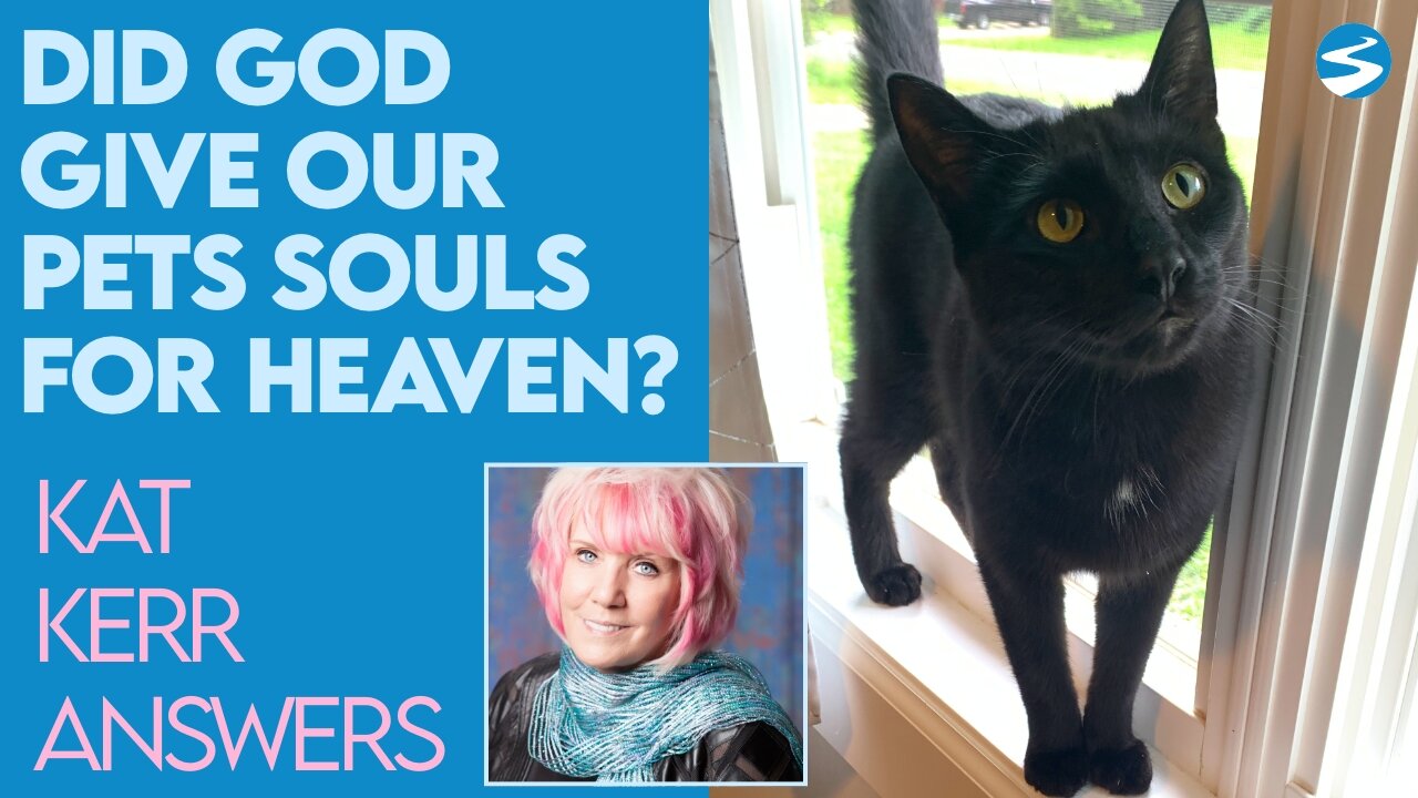 Kat Kerr: Did God Give Our Pets Souls So They Could Be In Heaven? | July 14 2021