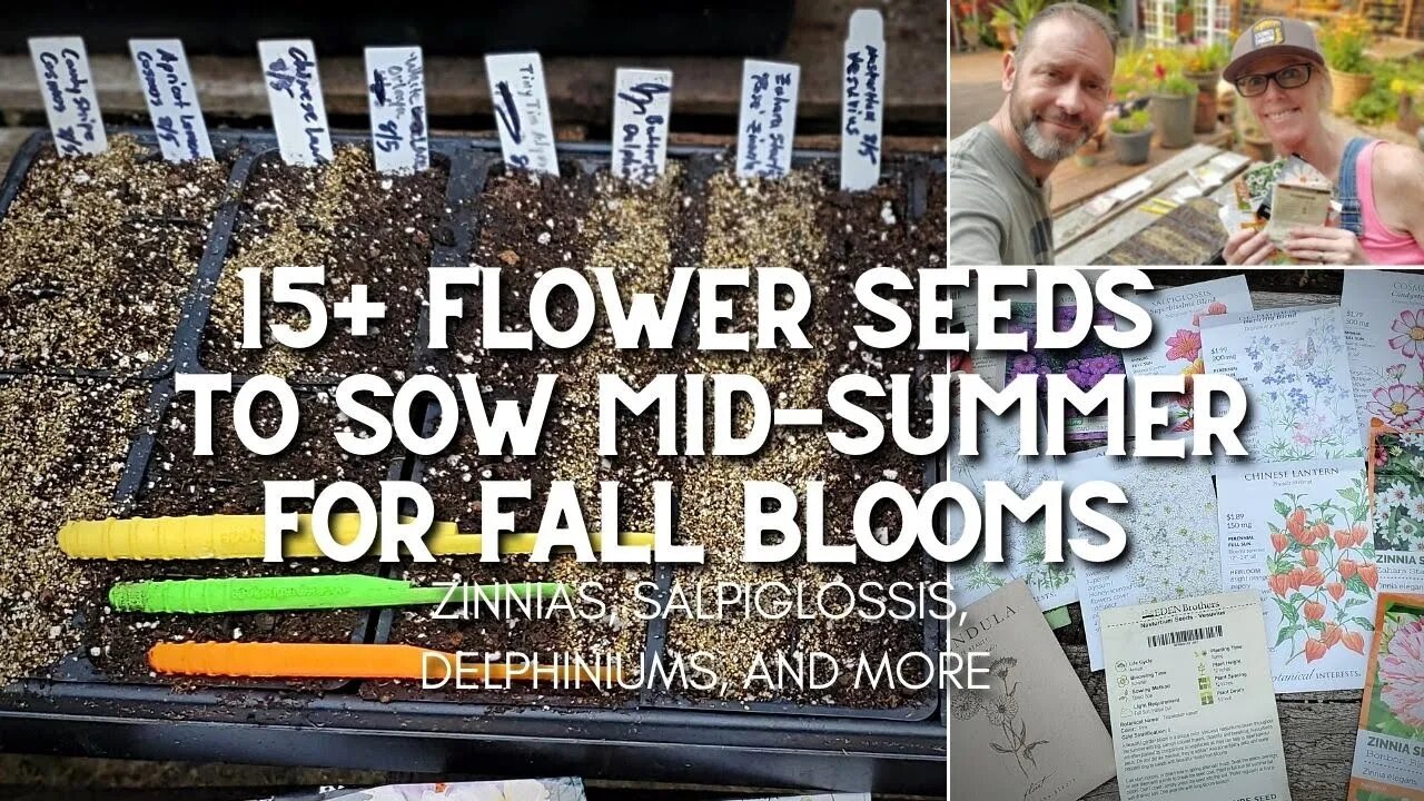 🌻 Flowers to Plant for Fall Blooms | Fall Flower Seed Sowing 🌻