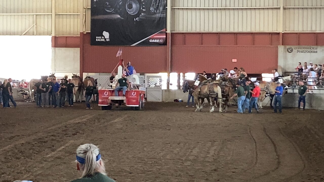 Lightweight draft horse pulling