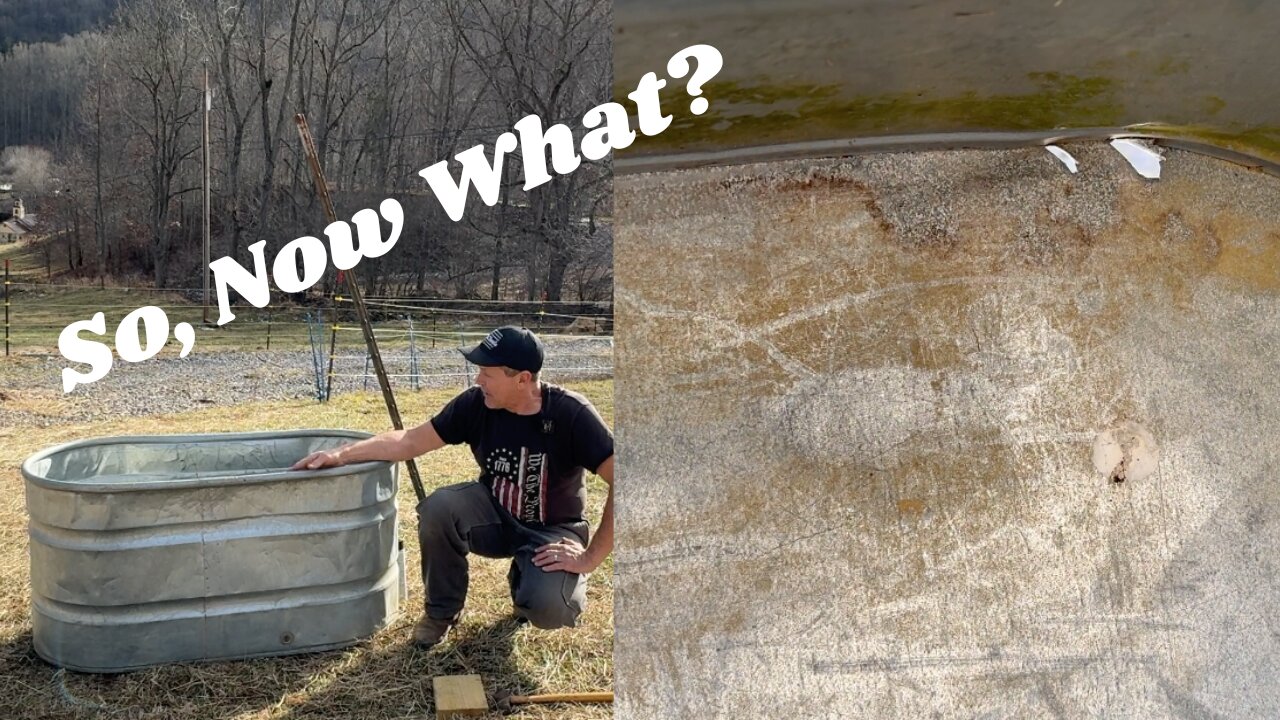 That Darn Bull - Water Tank Repair