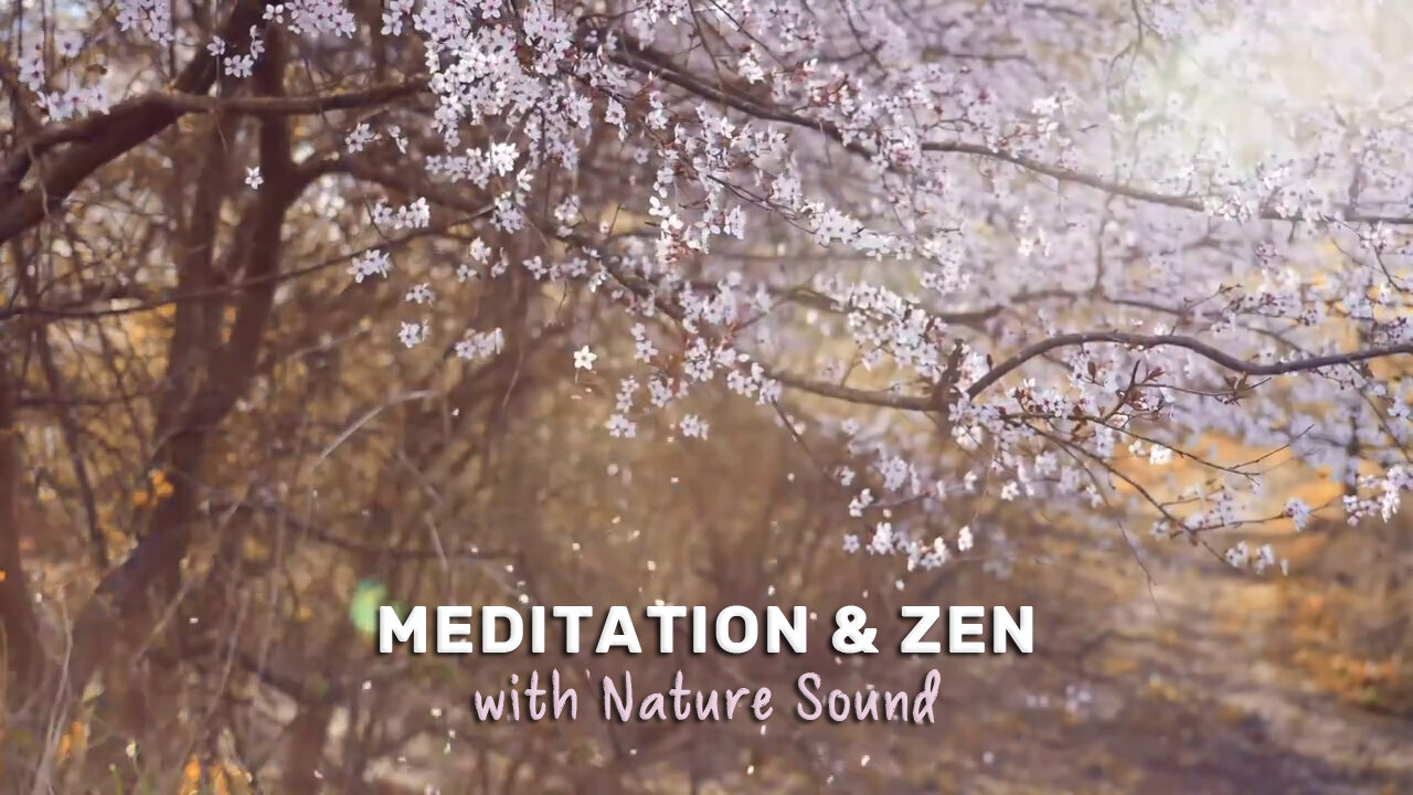 Meditation Zen Relaxation Music with Nature Sound for Sleep, Healing Soothing Calm Ambient