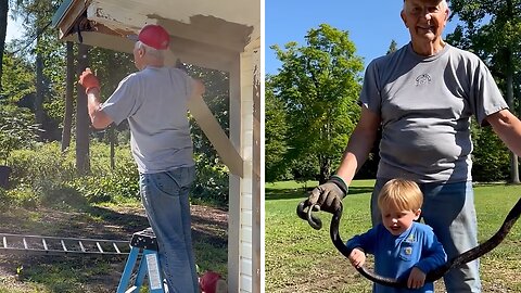 Enormous black snake gets pulled out of home's gutter