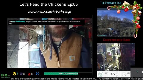 Let's Feed the Chickens Time Ep:05