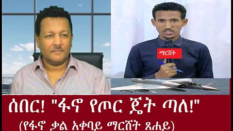 ሰበር፦"ፋኖ የጦር ጀት ጣለ" -አርበኛ ማርሸት ጸሐይ