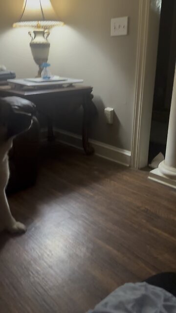 Soldier returns home from deployment and shocks his Mom