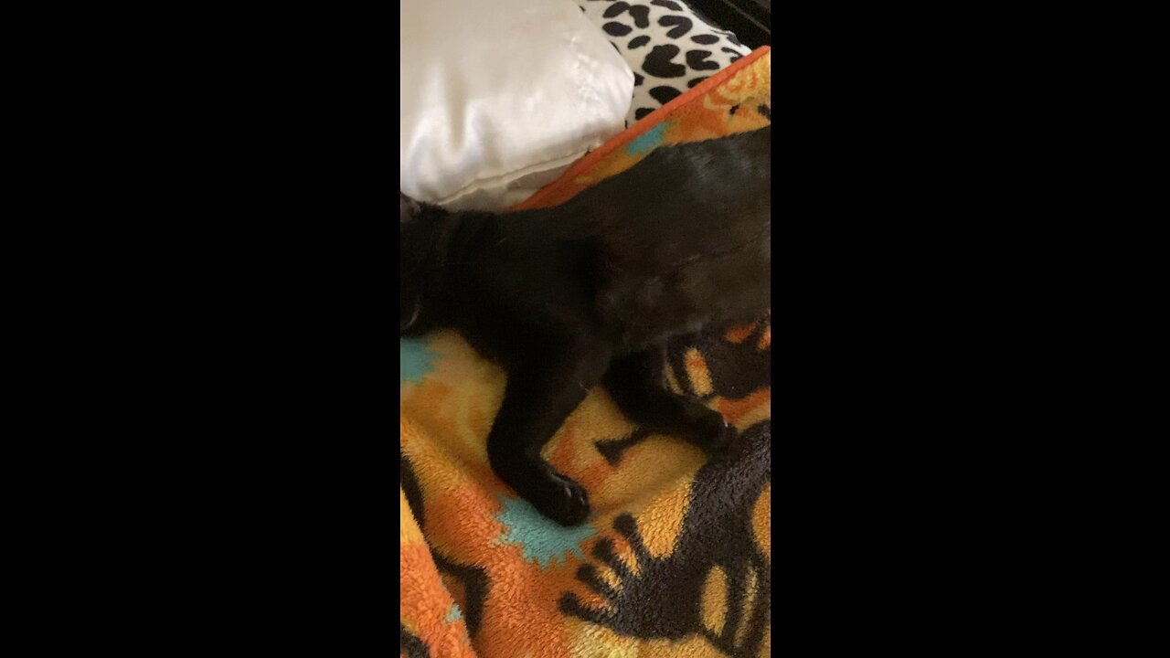 Blackjack is always working stripper time