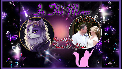 In The Meow | With Special Guests Adrian and Stacie King