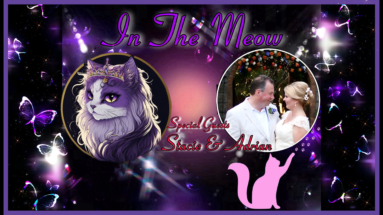 In The Meow | With Special Guests Adrian and Stacie King