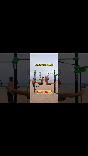 Back + Biceps + Abs ✅