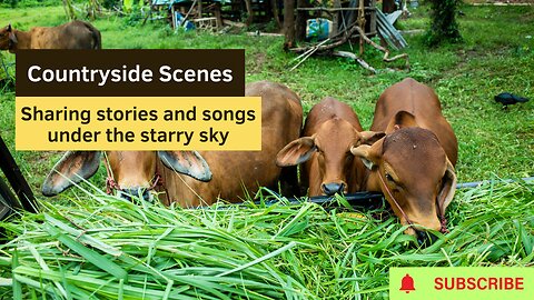 🎶 Discover Countryside Scenes: Where Stars, Stories, and Songs Collide