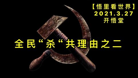 KWT1389全民“杀“共理由之二-20210327-11【悟里看世界】