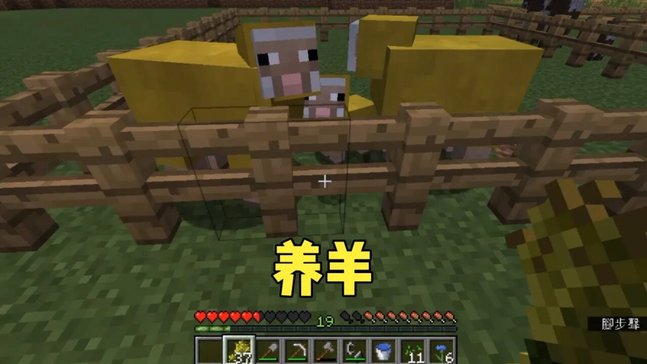 我的世界原版生存第四季ep.9:养羊,修路种甘蔗