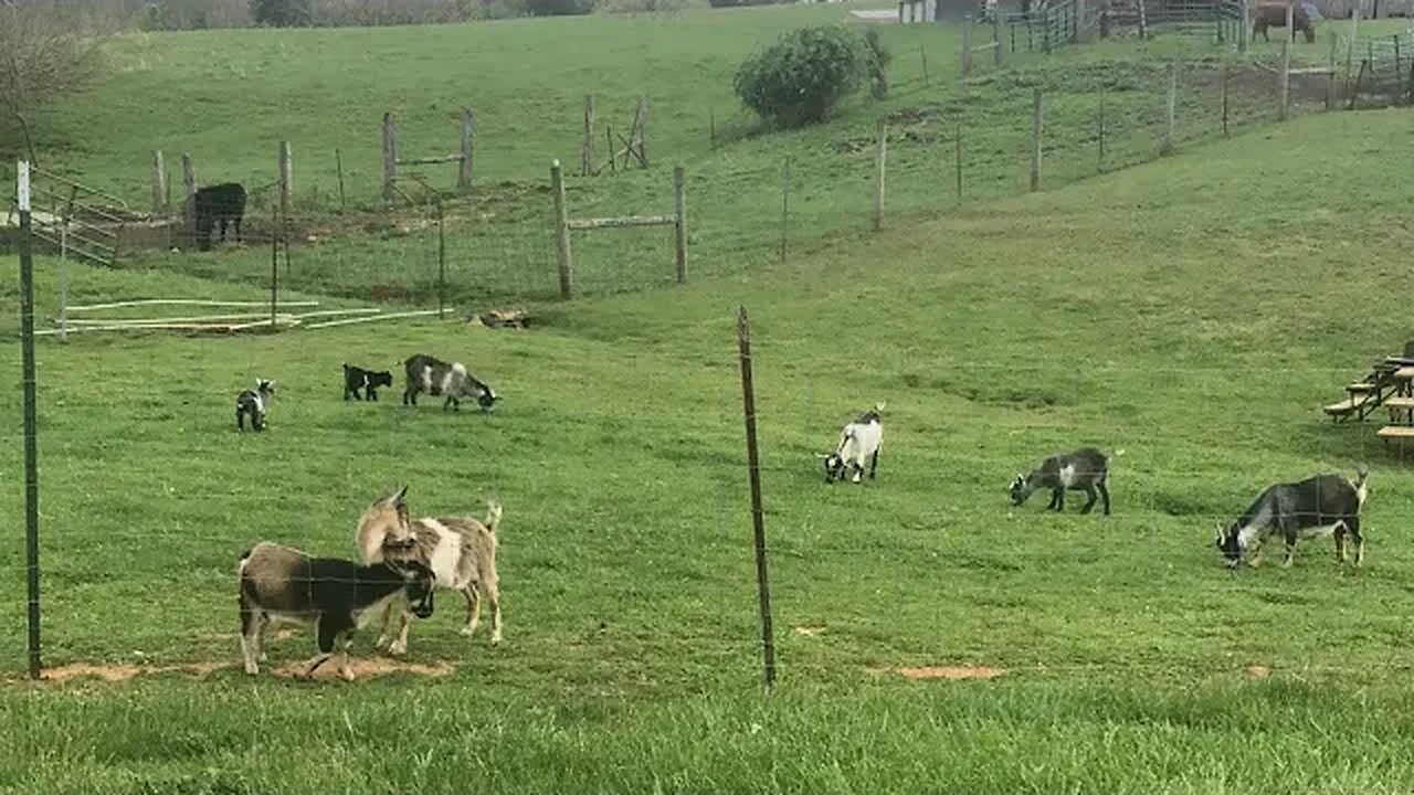 I post a lil bit of everything