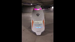 Robot Security