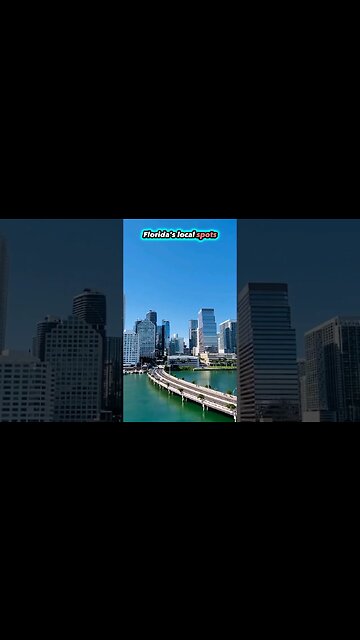Miami Local Spots By Brothers | Fun Games Great Food Amazing Animals #shorts #miami