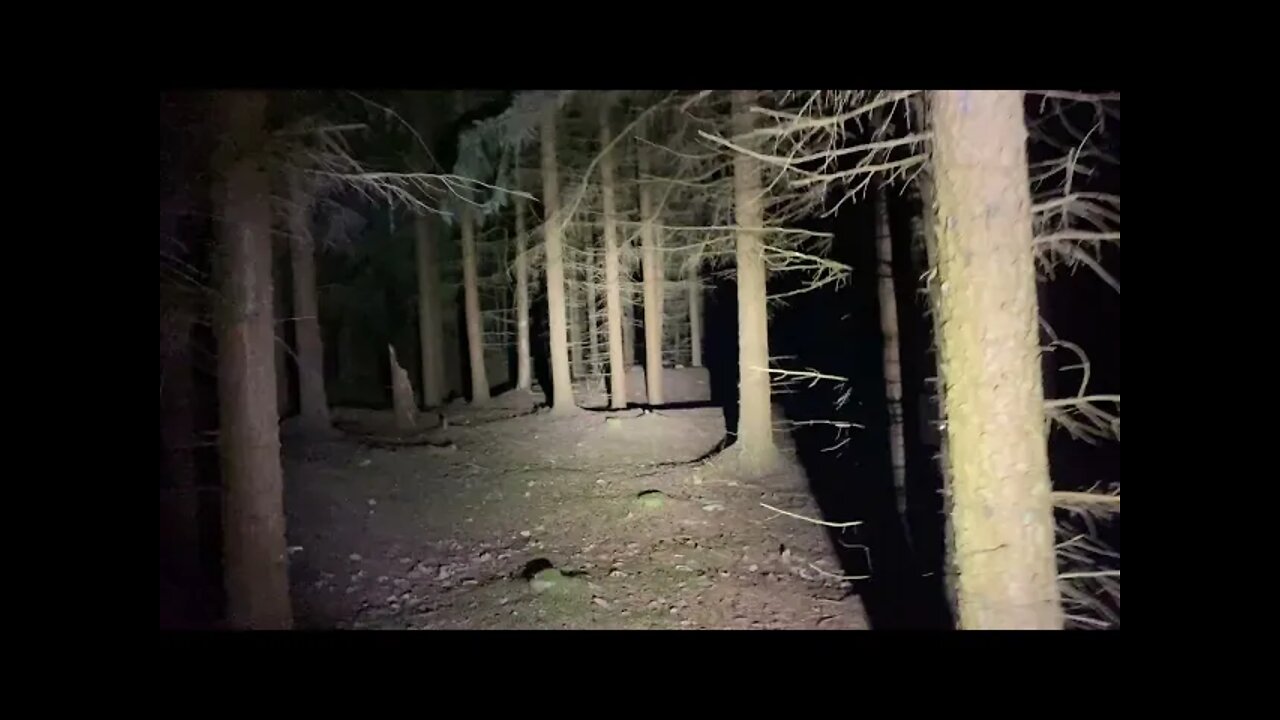 Walking into Troll forest with Lucky