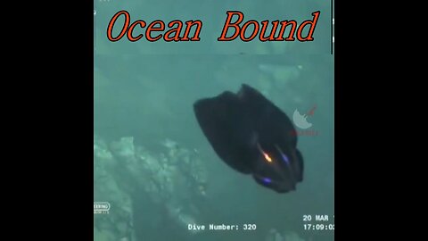 UAP's_UFO's are from our oceans?