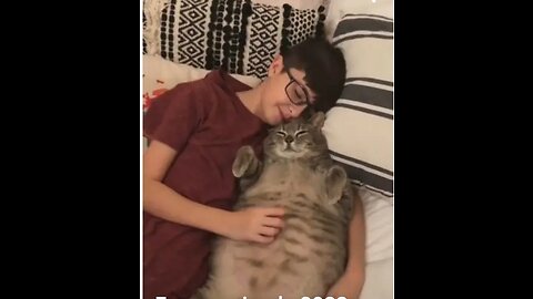 Funny animals 2023😂 funniest cats and dogs video🐈🦮#short