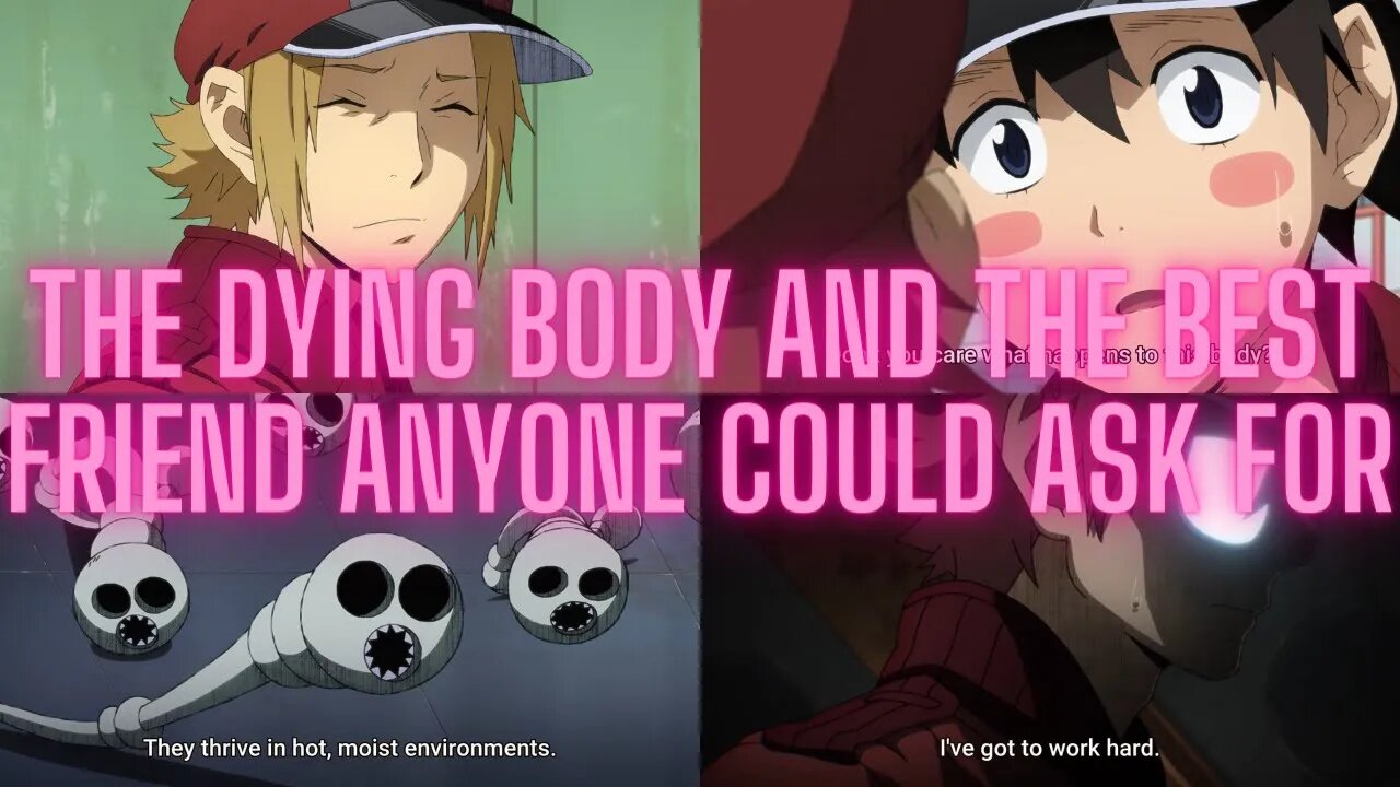 Hataraku Saibou Black TV Episode 9 reaction