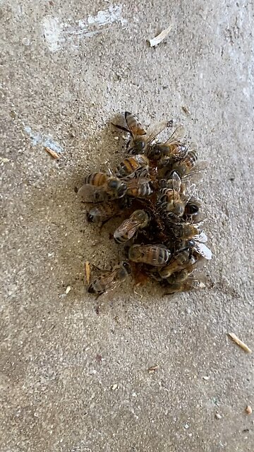 Cleanup on aisle 9 🤣😂🤣