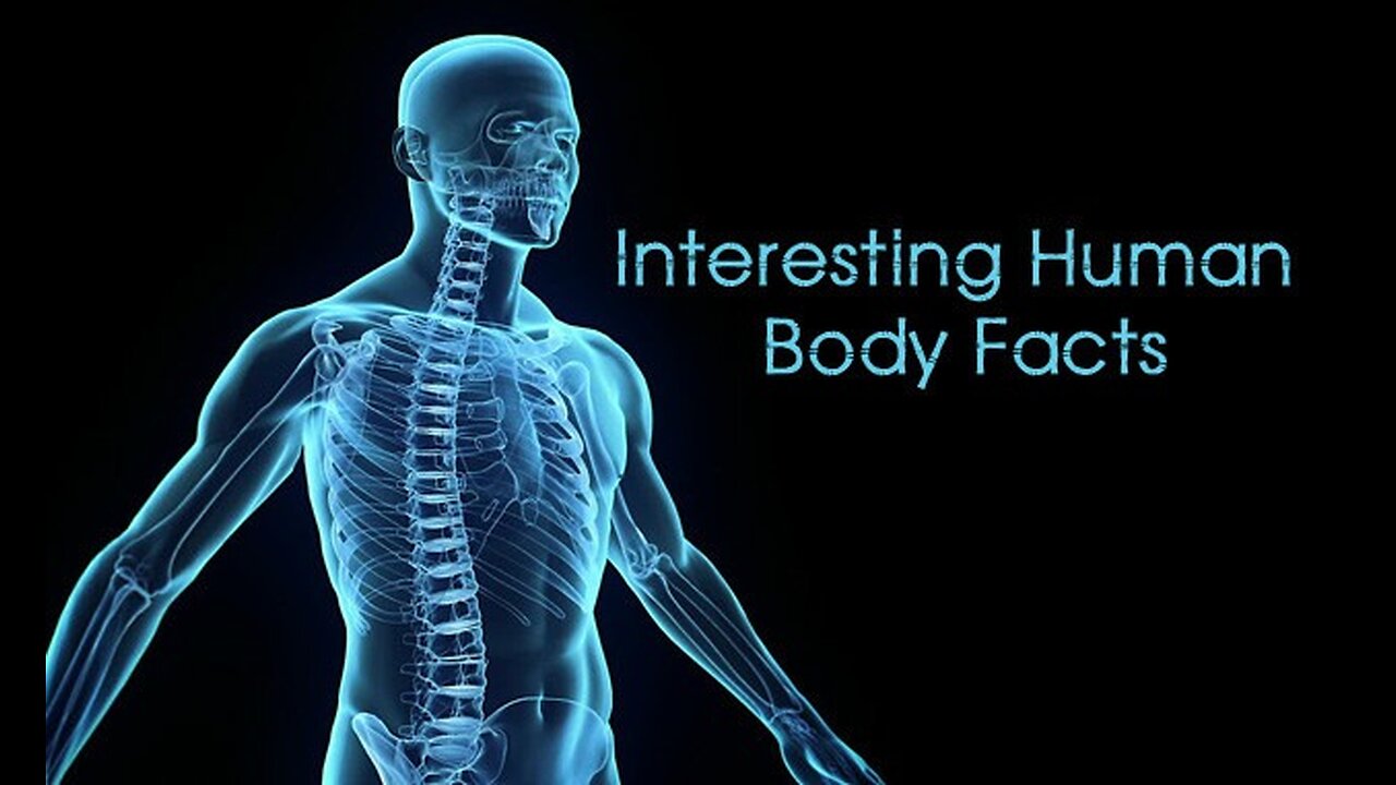 Amazing Facts about the Human Body