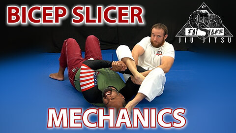 Bicep Slicer