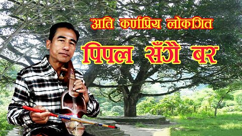 Sarangi Song | Pipal Sangai Bar | पिपल सँगै बर |