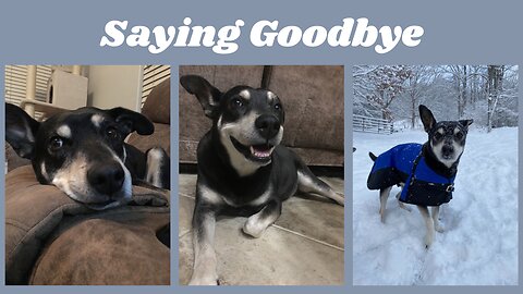Saying Goodbye to Decker
